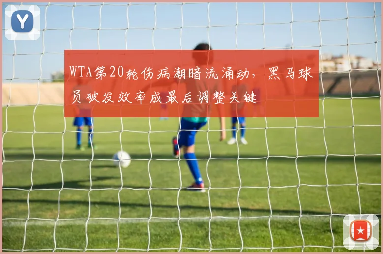 WTA第20轮伤病潮暗流涌动,黑马球员破发效率成最后调整关键 - 2026世界杯推荐