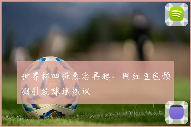 世界杯四强悬念再起，网红豆包预测引发球迷热议