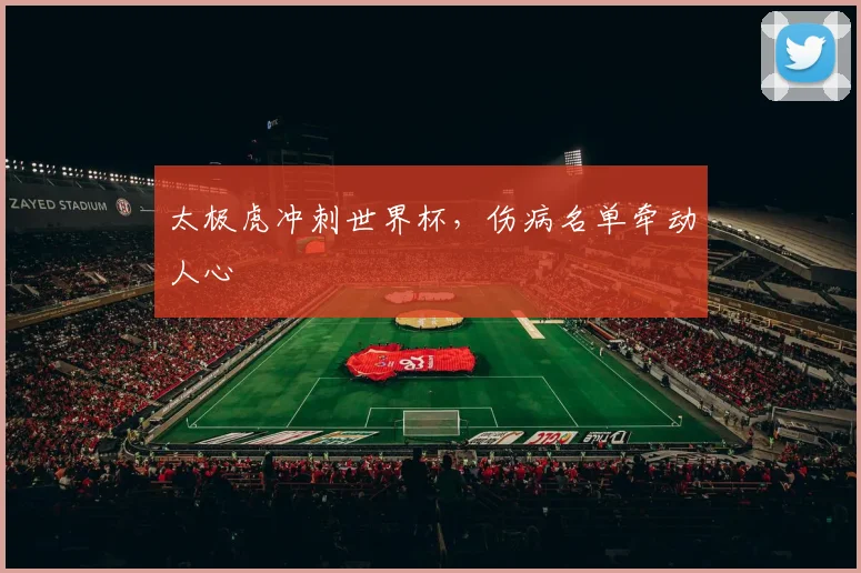 太极虎冲刺世界杯，伤病名单牵动人心