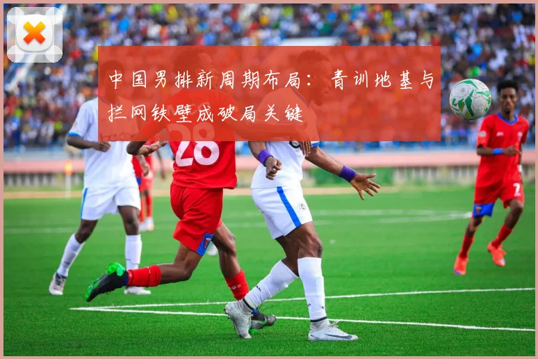 中国男排新周期布局：青训地基与拦网铁壁成破局关键 - 2026世界杯推荐